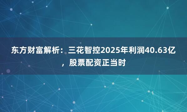 东方财富解析：三花智控2025年利润40.63亿，股票配资正当时