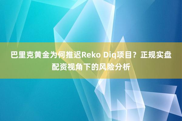 巴里克黄金为何推迟Reko Diq项目？正规实盘配资视角下的风险分析