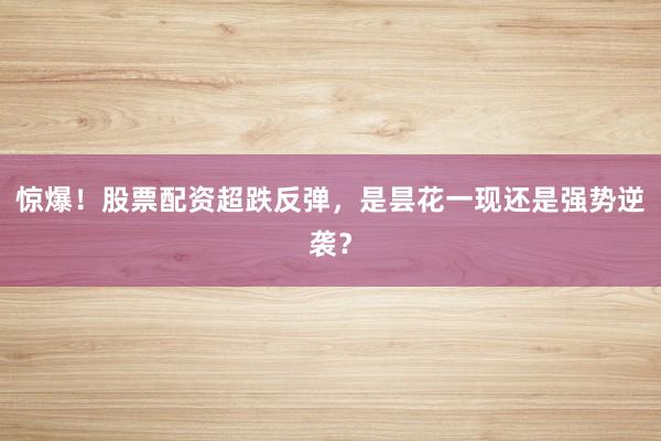 惊爆！股票配资超跌反弹，是昙花一现还是强势逆袭？