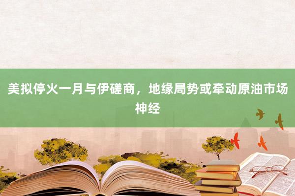 美拟停火一月与伊磋商，地缘局势或牵动原油市场神经
