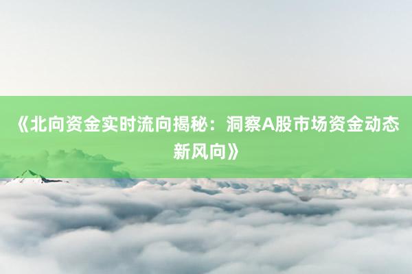 《北向资金实时流向揭秘：洞察A股市场资金动态新风向》