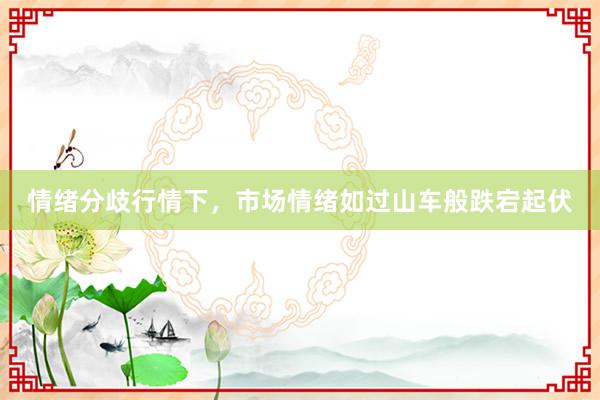 情绪分歧行情下，市场情绪如过山车般跌宕起伏