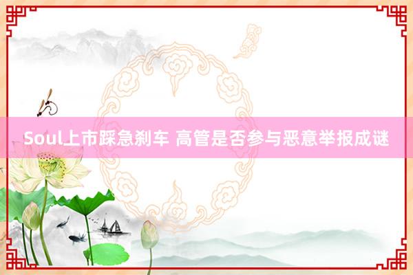 Soul上市踩急刹车 高管是否参与恶意举报成谜