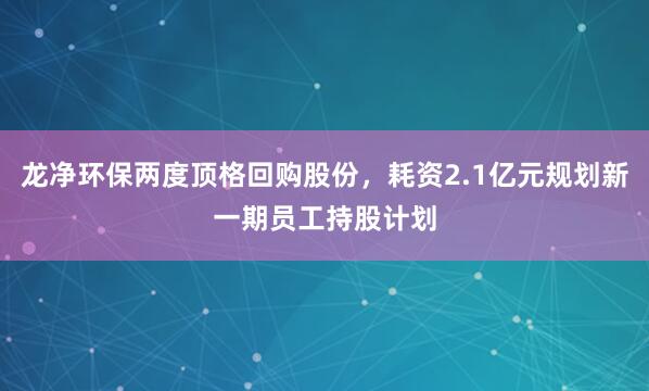 龙净环保两度顶格回购股份，耗资2.1亿元规划新一期员工持股计划