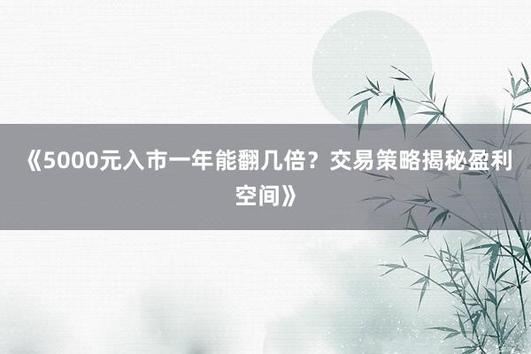 《5000元入市一年能翻几倍？交易策略揭秘盈利空间》