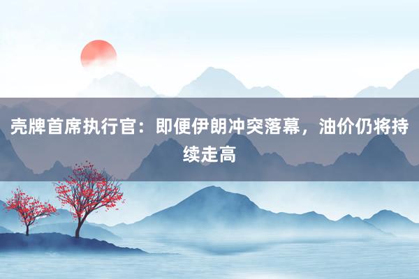 壳牌首席执行官：即便伊朗冲突落幕，油价仍将持续走高