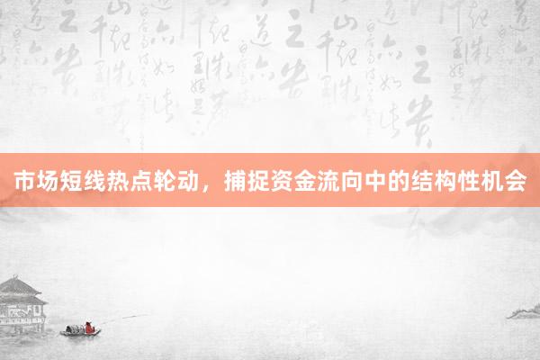 市场短线热点轮动，捕捉资金流向中的结构性机会
