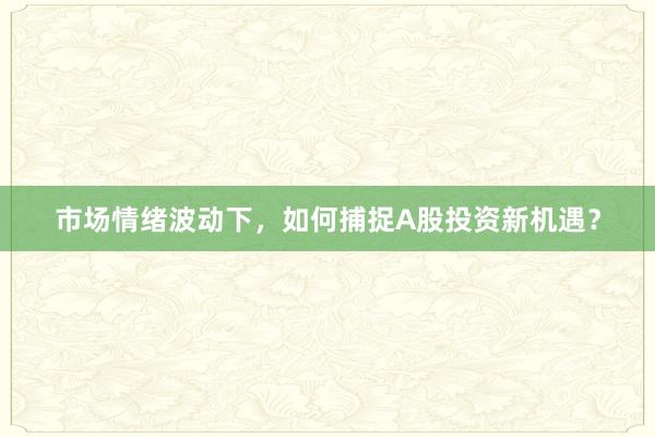 市场情绪波动下,如何捕捉A股投资新机遇?
