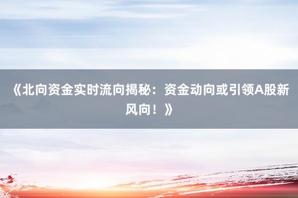 《北向资金实时流向揭秘：资金动向或引领A股新风向！》