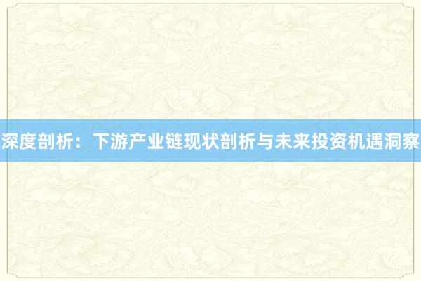 深度剖析：下游产业链现状剖析与未来投资机遇洞察