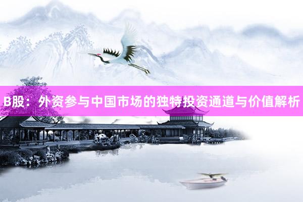 B股：外资参与中国市场的独特投资通道与价值解析