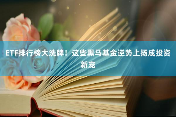 ETF排行榜大洗牌！这些黑马基金逆势上扬成投资新宠