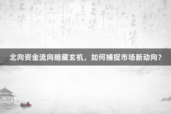 北向资金流向暗藏玄机，如何捕捉市场新动向？