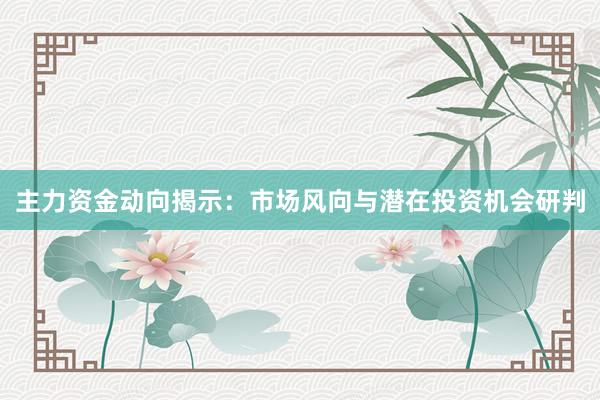 主力资金动向揭示：市场风向与潜在投资机会研判