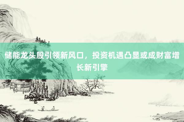 储能龙头股引领新风口，投资机遇凸显或成财富增长新引擎