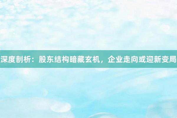 深度剖析：股东结构暗藏玄机，企业走向或迎新变局