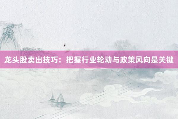龙头股卖出技巧:把握行业轮动与政策风向是关键