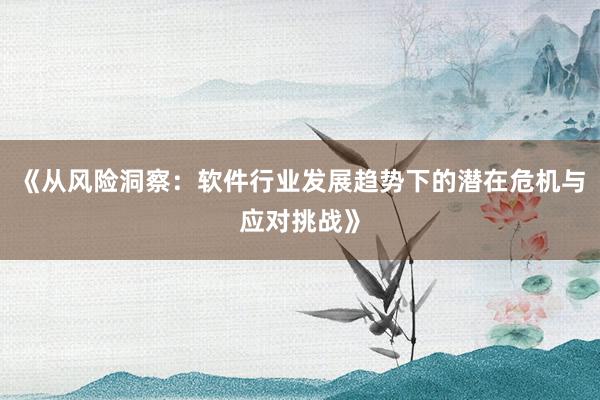 《从风险洞察：软件行业发展趋势下的潜在危机与应对挑战》
