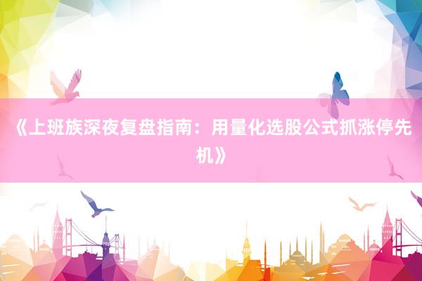 《上班族深夜复盘指南：用量化选股公式抓涨停先机》
